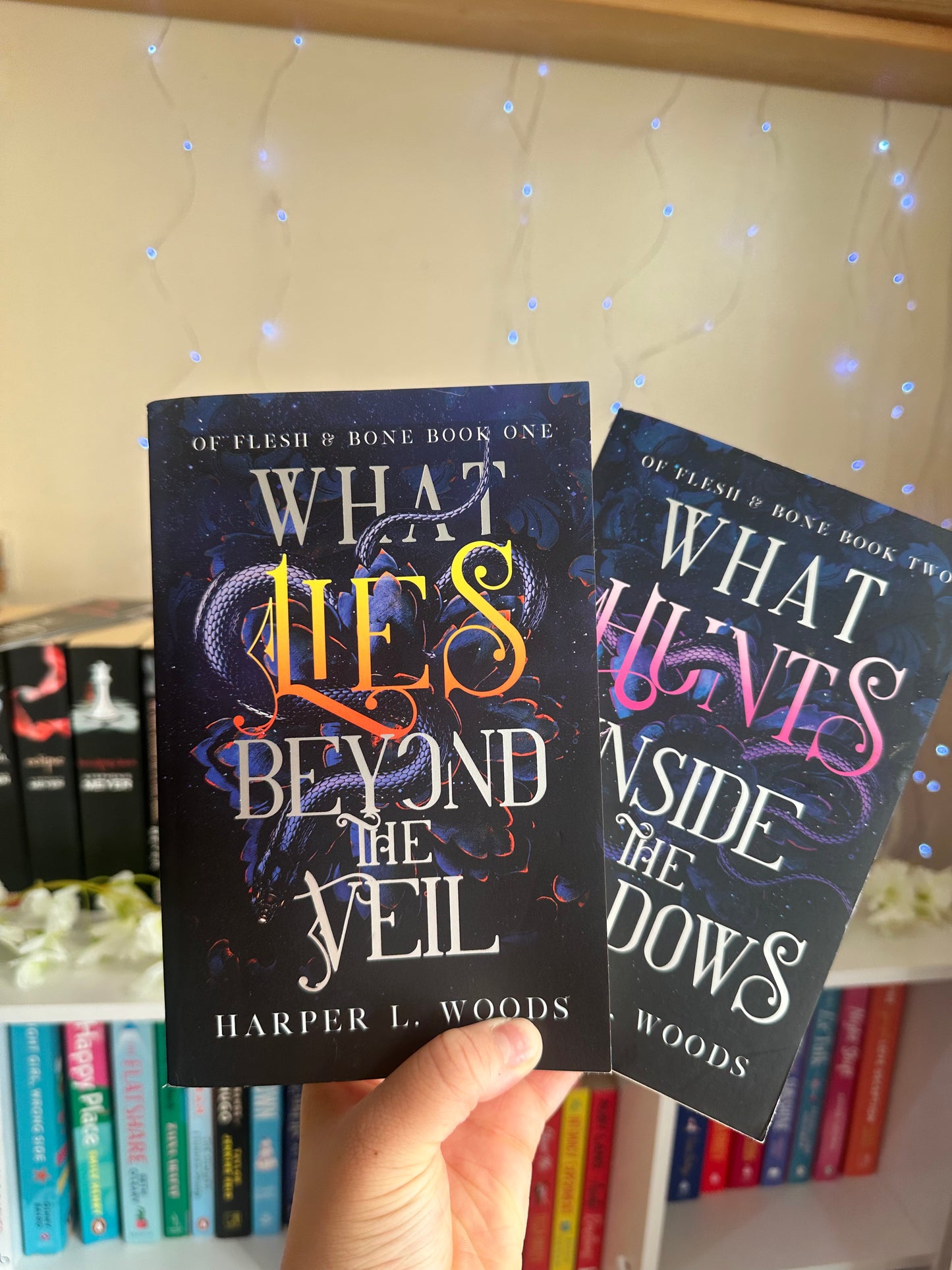 What Lies Beyond The Veil (Books 1 & 2) - Harper L Woods